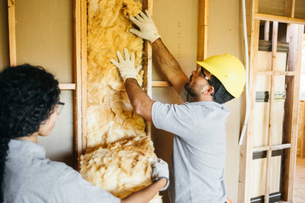 Best Attic Insulation Installation  in Heathrow, FL