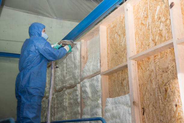 Best Insulation Replacement Services  in Heathrow, FL